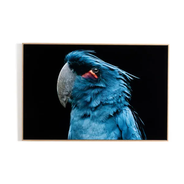 Product Image 1 for Palm Cockatoo By Getty Images from Four Hands