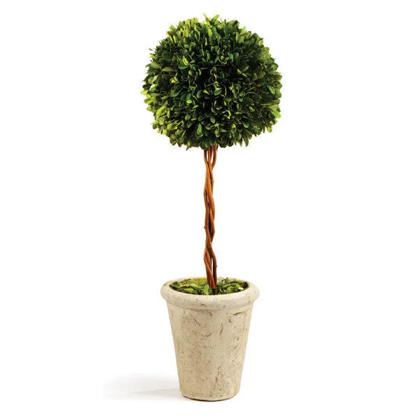 Product Image 1 for Boxwood Single Sphere Topiary from Napa Home And Garden