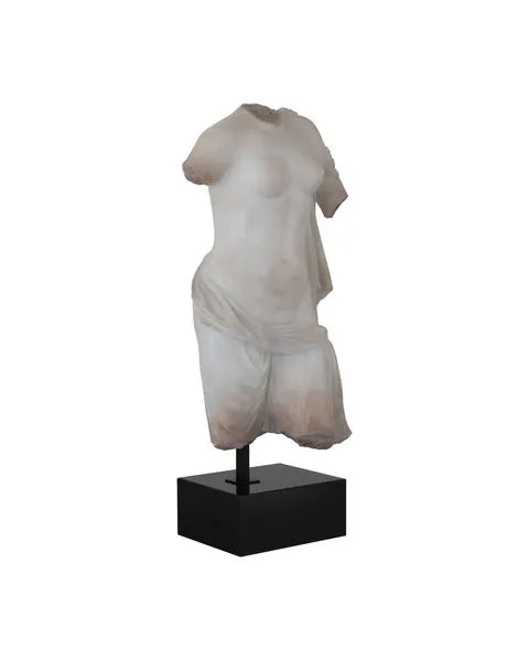 Product Image 1 for Cyprus Torso on Metal Stand from Currey & Company