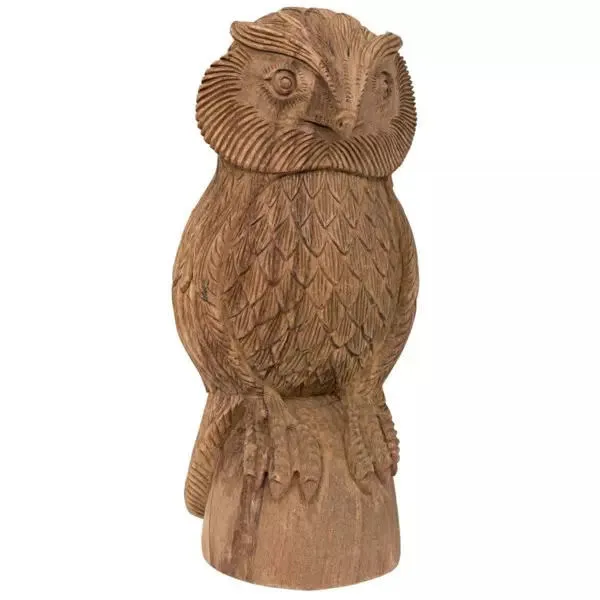 Product Image 6 for Teak Owl from Noir