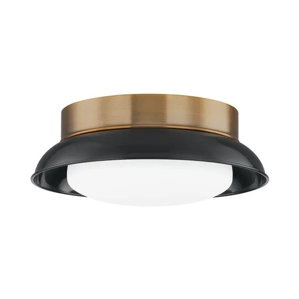 Product Image 1 for Arnie 2 Light Black Patina Brass Flush Mount from Troy Lighting