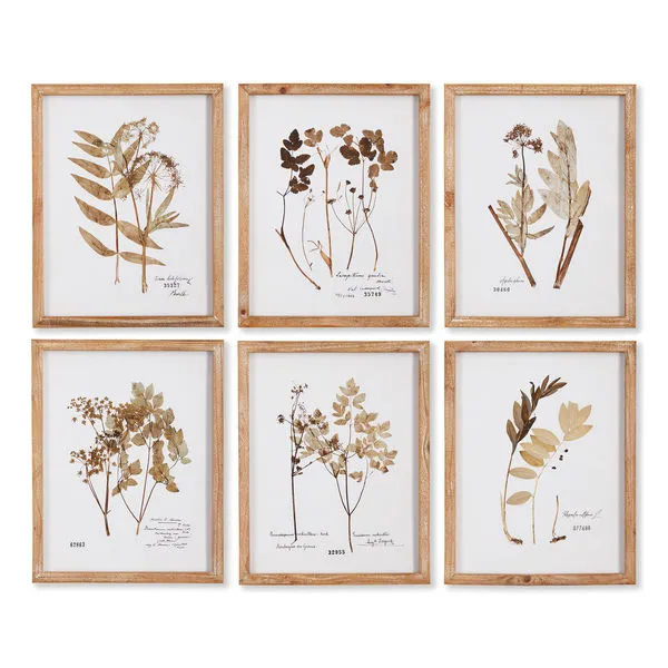 Product Image 1 for Pressed Leaf Study, Set Of 6 from Napa Home And Garden