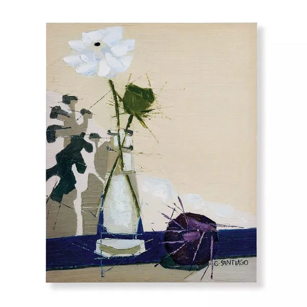 Product Image 1 for Cotton Rock (Set of 2) from Napa Home And Garden