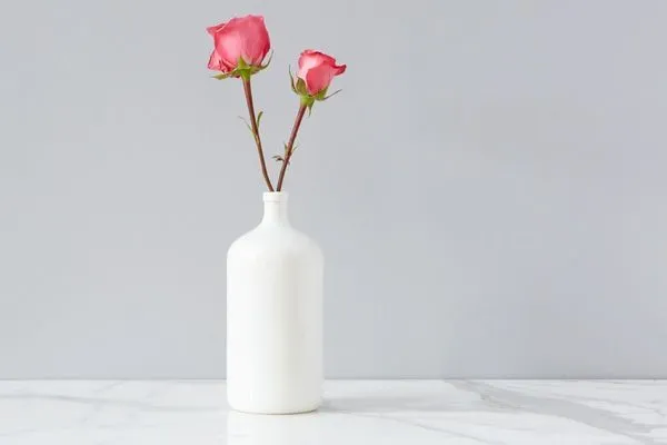 Product Image 2 for Mod Seltzer Vase, White from etúHOME