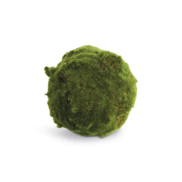 Product Image 1 for Moss Orbs, Set of 3 from Napa Home And Garden