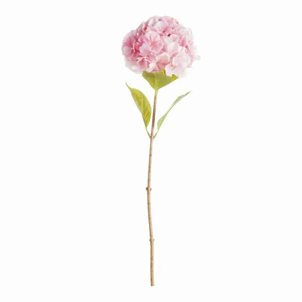 Product Image 1 for Mophead Hydrangea Stems , Set Of 4 from Napa Home And Garden