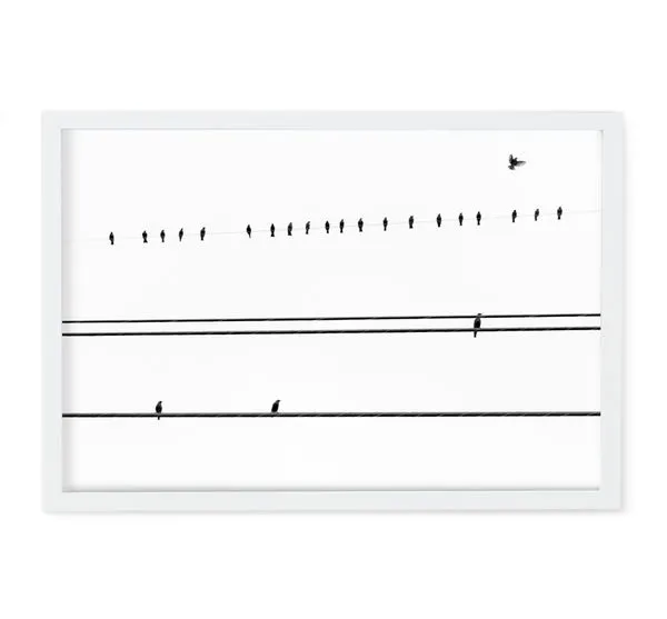 Product Image 1 for Early Takeoff Art By Ryan Garvin from Ryan Garvin