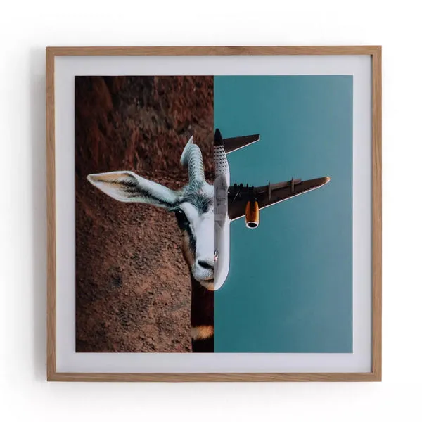 Product Image 2 for Fight Or Flight By Monica Carvalho Frame from Four Hands