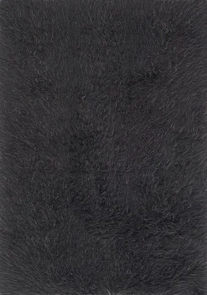 Product Image 1 for Petra Charcoal / Grey Rug from Loloi