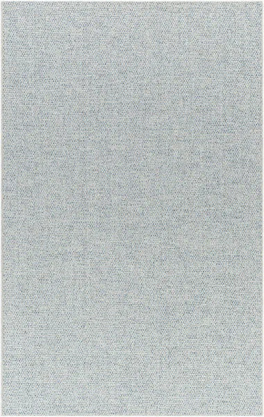 Light blue and beige woven polypropylene rug with no pile, flat texture, rectangular shape