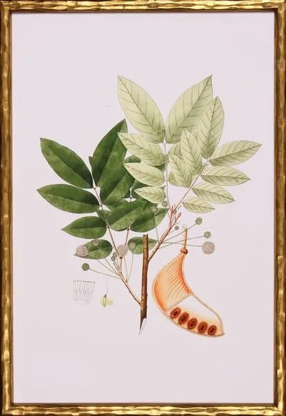 Product Image 1 for Green For Spring IV from Shadow Catchers