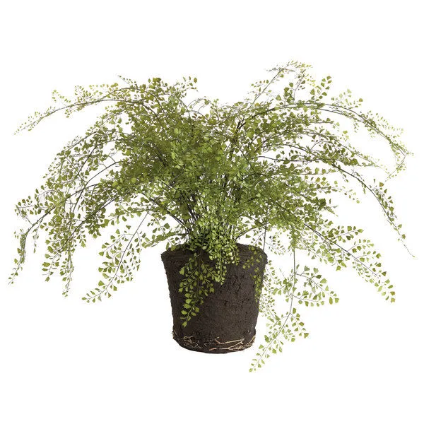Product Image 1 for Maidenhair Drop-In from Napa Home And Garden