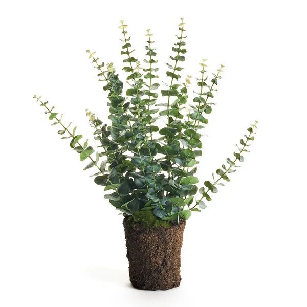 Product Image 2 for Faux Eucalyptus Drop-In, 25" from Napa Home And Garden