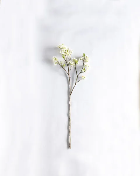 Product Image 2 for Matilda Cherry Blossom Branch - 47", Single from Napa Home And Garden