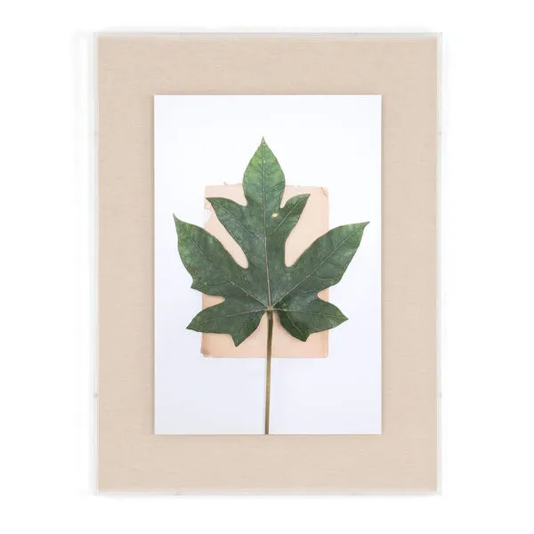 Product Image 2 for Fig Leaf By Teague Collection from Four Hands
