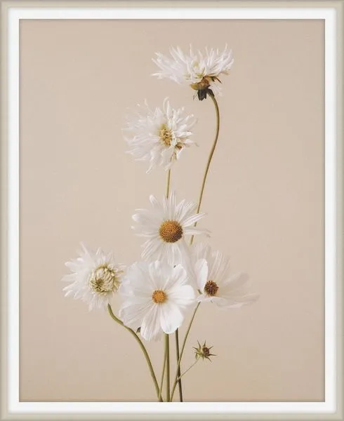 Product Image 1 for Flowers of Adornment 9 from Level 57 Art Studio