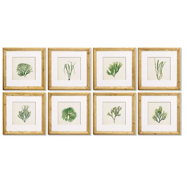 Product Image 1 for Seaweed Study, Set Of 8 from Napa Home And Garden