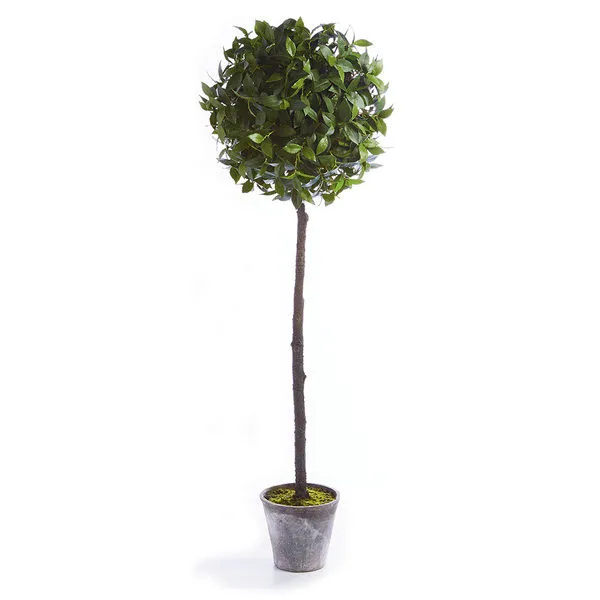 Product Image 1 for Laurel Ball Topiary Potted 65" from Napa Home And Garden