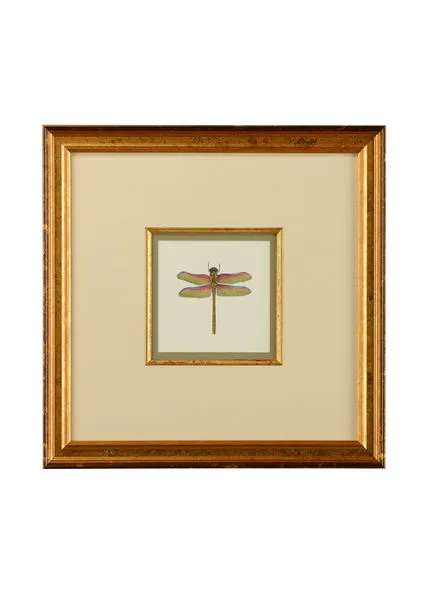 Product Image 1 for Miniature Dragonfly III Artwork from Chelsea House
