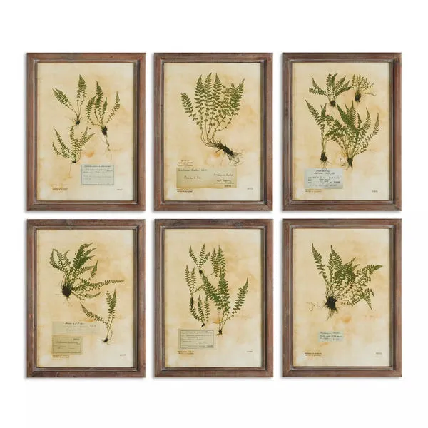 Product Image 1 for Pressed Fern Prints, Set Of 6 from Napa Home And Garden