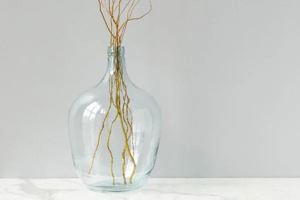 Product Image 1 for Recycled Demijohn from etรบHOME