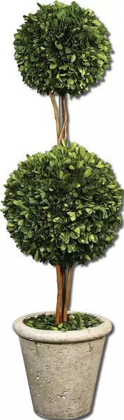 Product Image 2 for Uttermost Two Sphere Topiary Preserved Boxwood from Uttermost