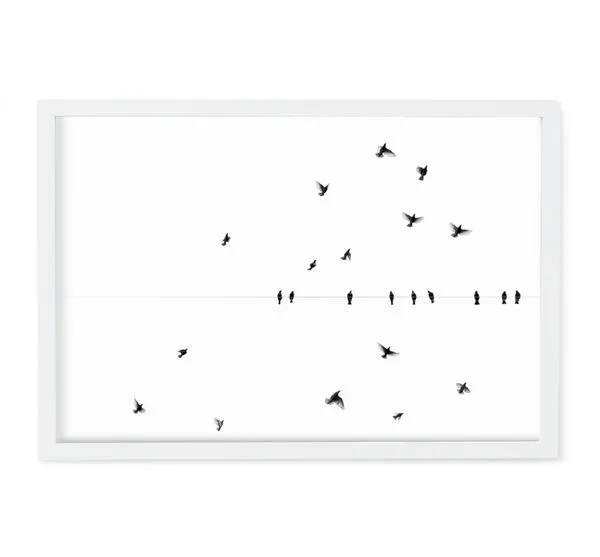 Product Image 2 for Fly By Art By Ryan Garvin from Ryan Garvin