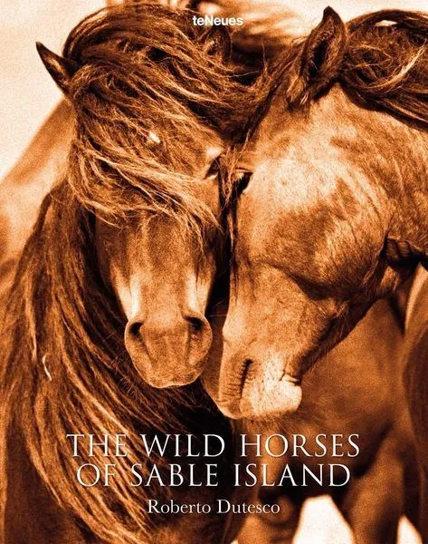 Product Image 6 for The Wild Horses Of Sable Island Coffee Table Book from ACC Art Books