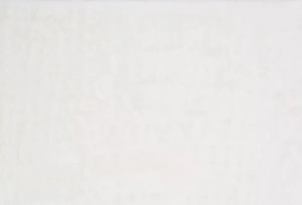 Product Image 2 for Danso Shag Ivory Rug from Loloi