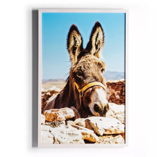 Product Image 2 for Spanish Burro from Four Hands