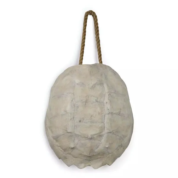 Product Image 1 for Turtle Shell Accessory from Regina Andrew Design