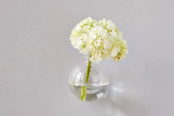 Product Image 3 for Wall Hanging Sphere Vase  from etúHOME