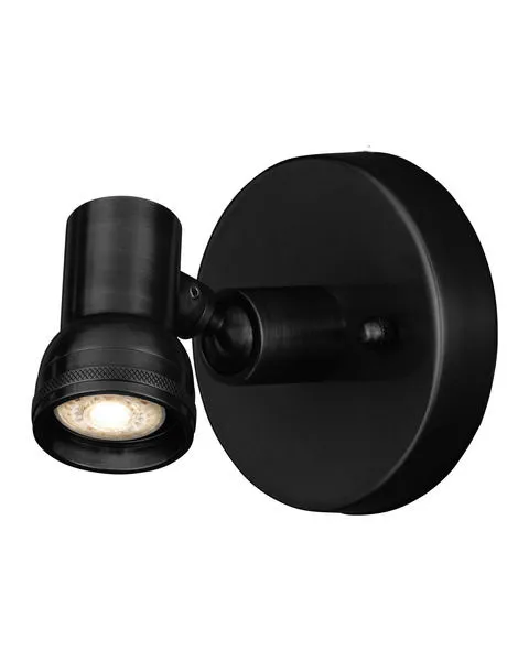 Product Image 1 for Patterson Picture Light from Currey & Company