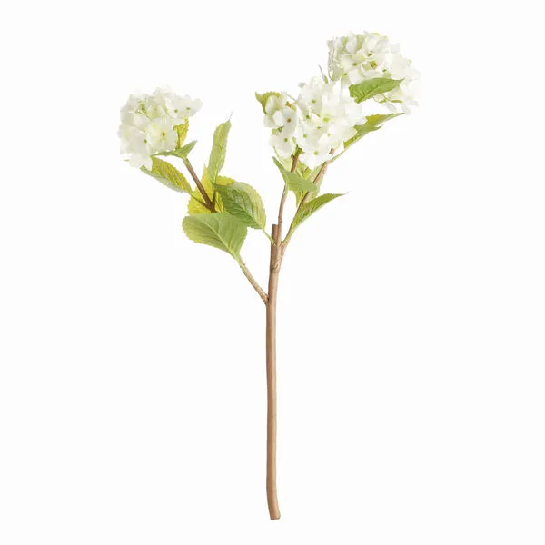 Product Image 1 for Hydrangea Branches , Set Of 2 from Napa Home And Garden