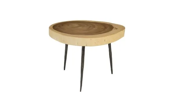 Product Image 4 for Natural Crosscut Side Table from Phillips Collection
