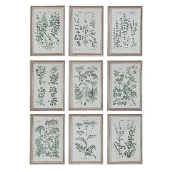 Product Image 2 for Uttermost Herb Garden Prints, S/9 from Uttermost