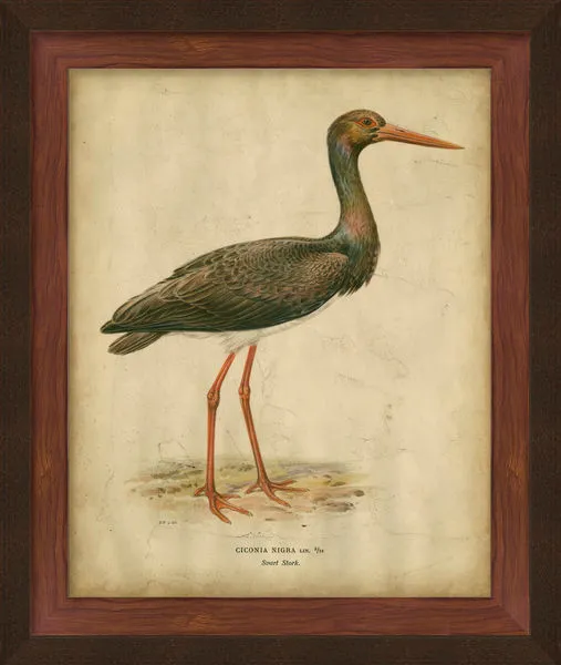 Product Image 1 for Embellished Vintage Heron I from Surya