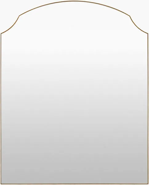 Product Image 1 for Landon Gold Accent Mirror from Livabliss