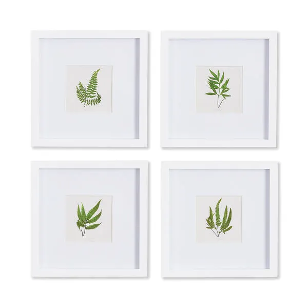 Product Image 2 for Forest Greenery Petite Prints, Set Of 4 from Napa Home And Garden