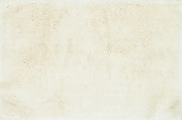Product Image 1 for Allure Shag Ivory Rug from Loloi