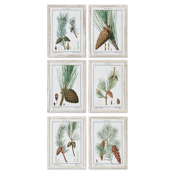 Product Image 1 for Pine Study, Set Of 6 from Napa Home And Garden