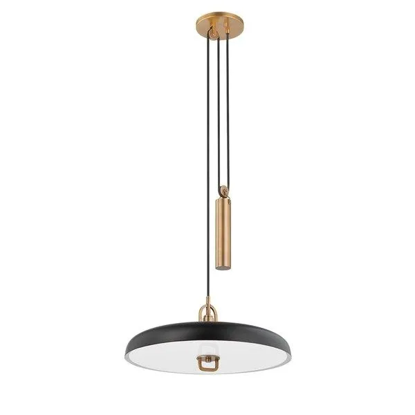 Product Image 1 for Plummet 1 Light Black Pendant from Troy Lighting