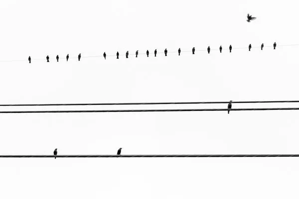 Product Image 1 for Early Takeoff Art By Ryan Garvin from Ryan Garvin