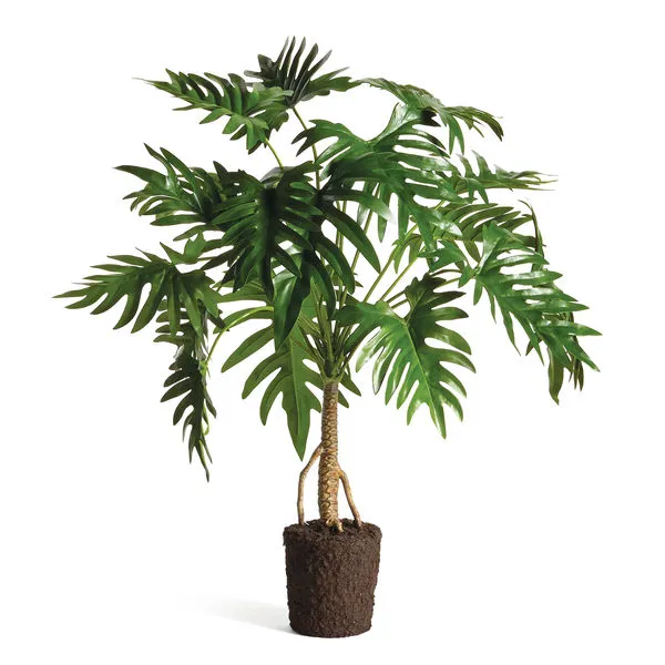 Product Image 2 for Faux Split Leaf Selloum Drop-In, 38.5" from Napa Home And Garden