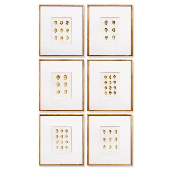 Product Image 2 for Egg Study, Set Of 6 from Napa Home And Garden