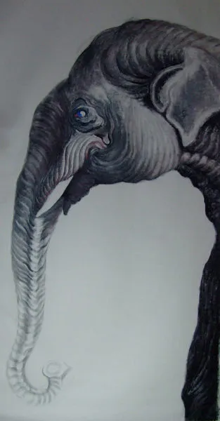 Product Image 1 for Elephant Trunk from Noir