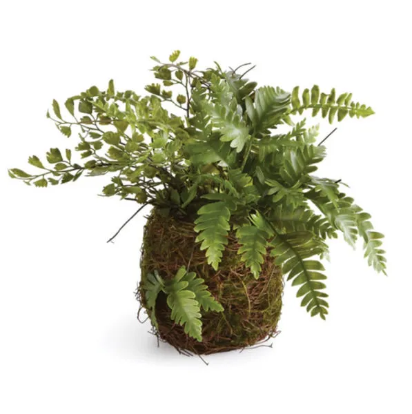 Product Image 2 for Mixed Fern Drop In 8" from Napa Home And Garden