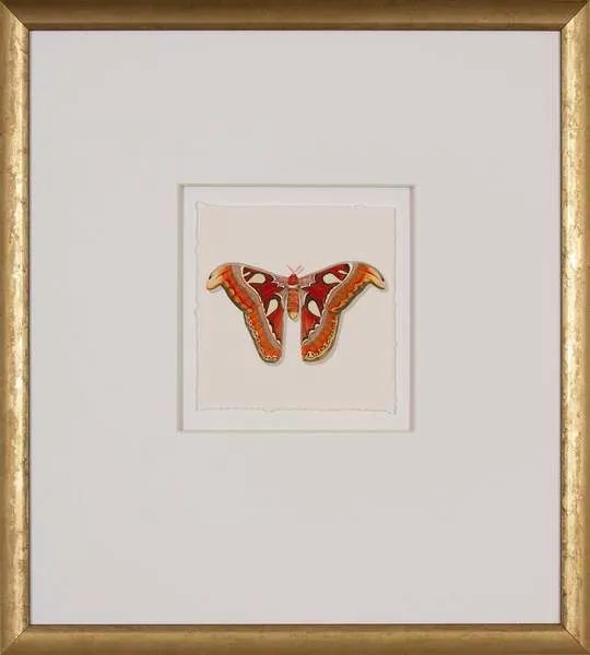 Product Image 1 for Velvet Wings II 15"x16" Watercolor Painting from Shadow Catchers