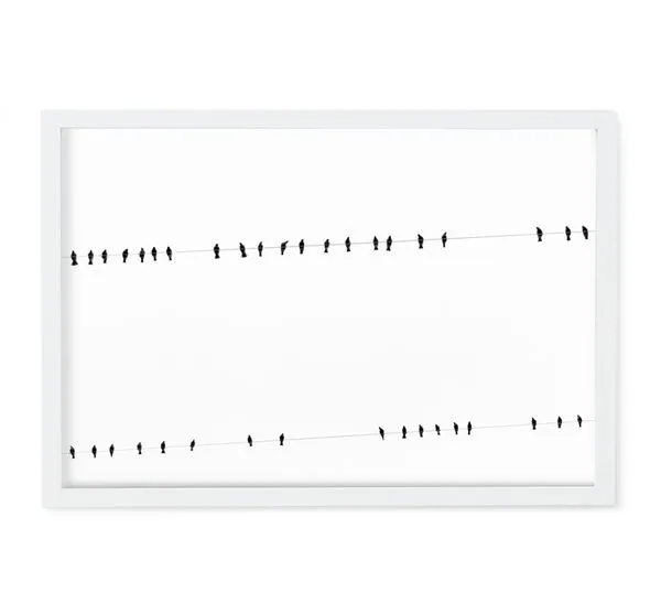 Minimalist black silhouette birds perched on two parallel power lines against a white sky