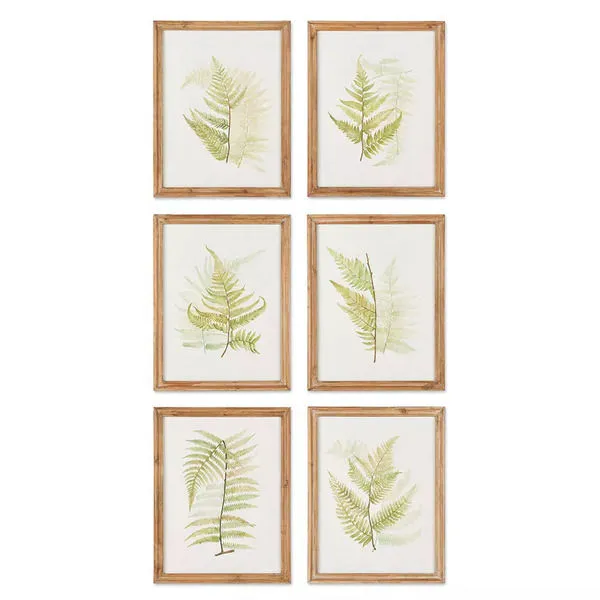 Product Image 1 for Framed Fern Study, Set Of 6 from Napa Home And Garden